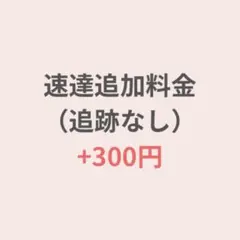 速達追加料金