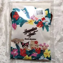 Item thumbnail for item 70f8ea24-6a43-4be1-934e-09ecdccd7054