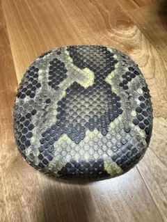 Item thumbnail for item ef2168e4-f81f-4249-8a28-989ef728301e