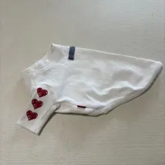 Item thumbnail for item 2fd713d1-4d92-486c-8f63-dab9b8922f65