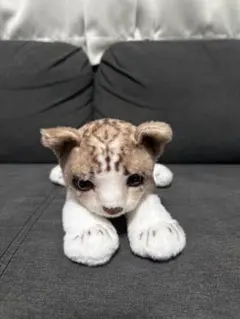 Item thumbnail for item 1f5babb9-0d69-4981-9805-4a8a626b998e