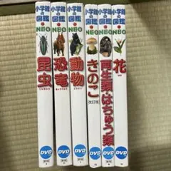 専用！