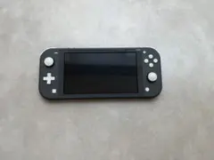 Nintendo Switch Lite グレー 充電器付き