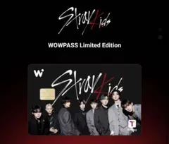 Stray Kids WOWPASS オール