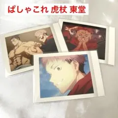 ぱしゃこれ 虎杖悠仁 東堂葵