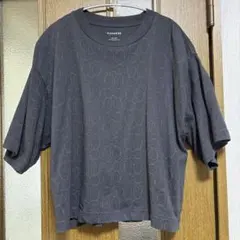 coach Tシャツ早い者勝ち！のサムネイル