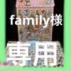 family_4146様 リクエスト 2点 まとめ商品
