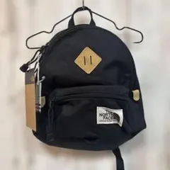 Item thumbnail for item fdb1f56a-760a-4ec4-b239-12093d62511d