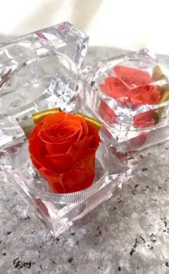 プリザーブドフラワー ローズ クリスタルケース入り(2個)