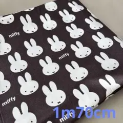 Item thumbnail for item b0070dd7-ff3e-40af-95ab-1cc43d26059c