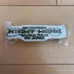 SEVENTEEN MINGYU ラバーバンド RIGHT HERE