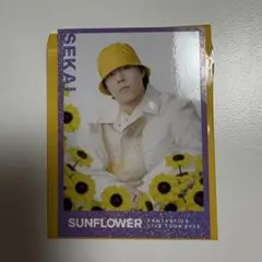 世界 ファンタ フォトカ シクレ　SUNFLOWER ロト ステッカー
