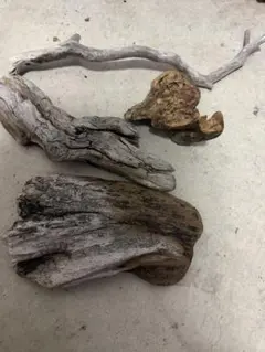 自然な形状の流木 約30cm - メルカリ