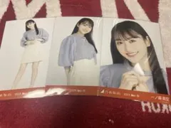 Item thumbnail for item 499675fc-018e-4a43-829c-9b0abbb7ef55