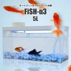 小型オールインワンスマート水槽多機能水槽 FSH-210T FiSH-α4 - メルカリ