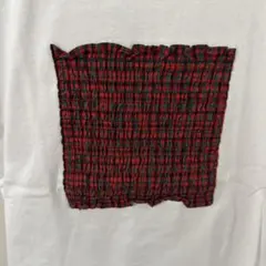 familiar 赤チェック柄白Tシャツ 150cm