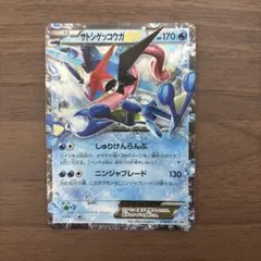 サトシゲッコウガEX PROMO XYシリーズ 218/XY-Pのサムネイル