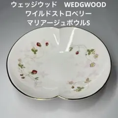 2026年最新】ワイルドストロベリー プレート 20cmの人気アイテム