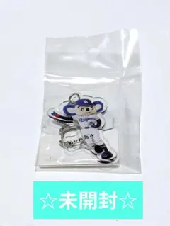 新品未開封☆ドアラアクリルキーホルダー〜毎日が夢中〜