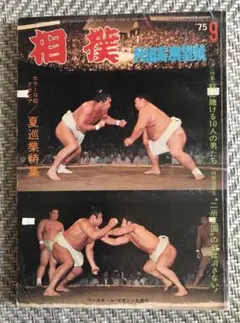 2025年最新】相撲 北の湖の人気アイテム - メルカリ