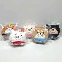 新品未開封タグ付【全5種コンプリート】 忠犬もちしば ころころぬいぐるみ