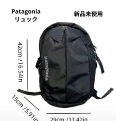 Patagonia（パタゴニア）のリュックになります。ノースフェイス好きな方にも
