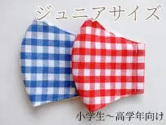 #633【シワになりにくい】ジュニアサイズ布マスク✾2枚セット