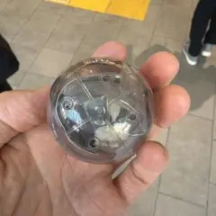 ジョジョの奇妙な冒険 まちぼうけ スターダストクルセイダース01 イギー