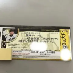 阪神 vs 中日 9月15日 試合チケット 阪神 vs 中日 9月15日 試合チケット 9月15日(祝)阪神
