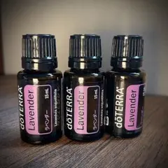 doTERRA ラベンダー 15ml×3本 新品未開封 ドテラ アロマ 精油
