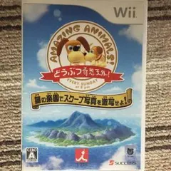 Wii カセット