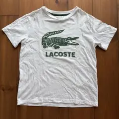 LACOSTE ラコステ Tシャツ ホワイト 140cmのサムネイル