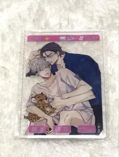 新品未開封　ヒズ・リトル・アンバー アクリルカード ナツメカズキ