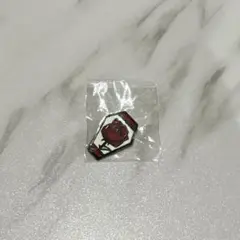 リドル キャラクターアイコンピンズコレクション