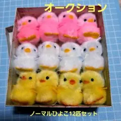 ひよこのおかげ ぴより〜な 12匹セット いつも現役のメンバーノーマルひよこ