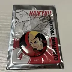 ハイキュー 缶バッジ＆特製ホルダーコレクション 音駒高校 山本猛虎