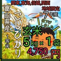 R7年富山県産コシヒカリ白米4.5kg×4袋✳️関東、東海、信越、関西地域限定 R7年富山県産コシヒカリ白米4.5kg×1袋✳️関東、東海、信越、関西地域