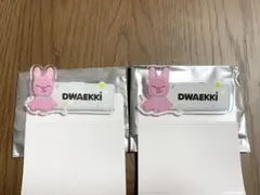 StrayKids SKZOO トゥエッキ チャンビン ランダムネームバッチ