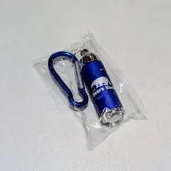 Bears Rock カラビナ付 LEDライト ズーム機能付き　青