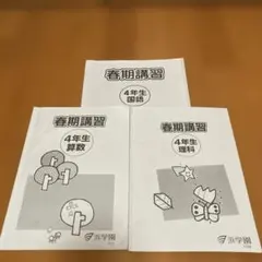 浜学園　小学4年生　国語　算数　テキスト　フルセット 2026年最新】浜学園 小4テキストの人気アイテム - メルカリ