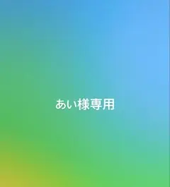 【あい様専用】ロゴピアス　シルバー