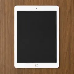 iPad 第6世代 32GB Wi-Fiモデル 動作確認済み ゴールド
