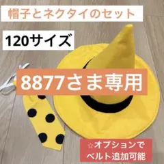 【8877さま専用】120