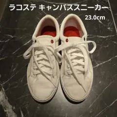 ラコステ スニーカー