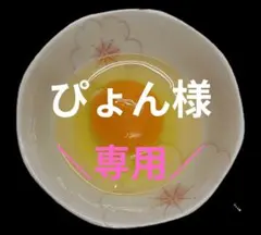 烏骨鶏　ネラ　ゆめちゃん食品のサムネイル