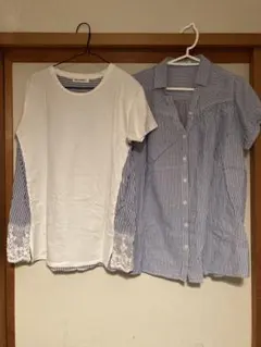 ホワイト/ストライプ 半袖トップス レース付き