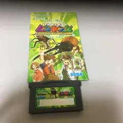 ⭐️ゲームボーイアドバンスソフト⭐️説明書付き。