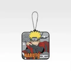 一番くじNARUTO-ナルト- 疾風伝 輪廻の嘆きと平和の懸け橋 H賞２点セット