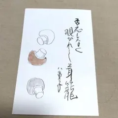 カントリードール