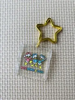 ディズニーストア シークレットキーホルダー